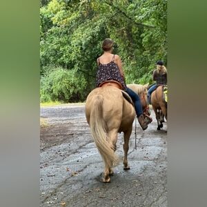 ISO western saddle mine was stolen.